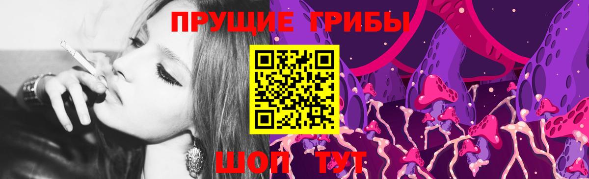 Псилоцибиновые грибы Magic Shrooms  Псилоцибиновые грибы Magic Shrooms  Вход с VPN  Ногинск 
